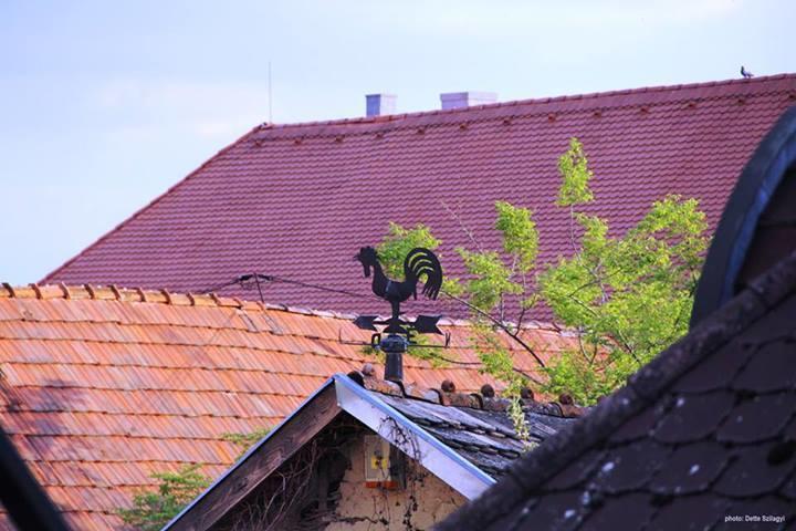 Rozmaringos Udvarhaz Dunafoldvar Exterior photo